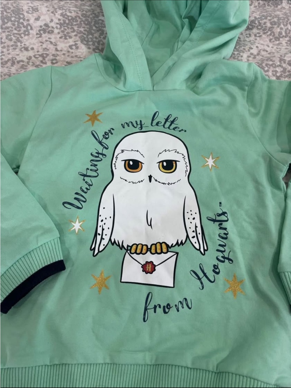 NEW Harry Potter Mint Green Hedwig Hoody